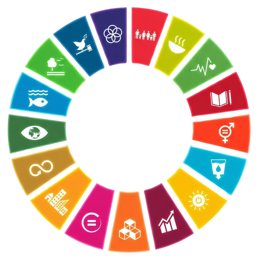 Objetivos de Desarrollo Sostenible de la ONU